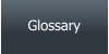 Glossary