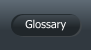 Glossary